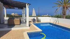 a swimming pool in a villa with a palm tree at Villa Enalia Paphos in Paphos