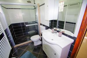 a bathroom with a sink and a toilet and a shower at Apartment Pineta in village Valbandon in Valbandon +38 photos
