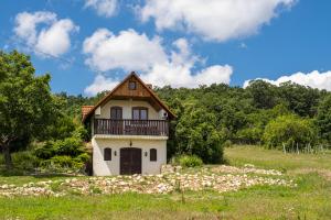 Příroda nedaleko apartmánu + 6 fotografií