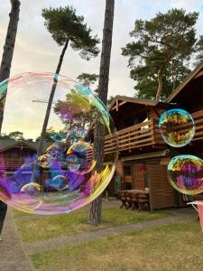 a large glass bubble in front of a tree at NATURA PARK Ustronie Morskie - domki, apartamenty in Ustronie Morskie