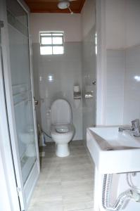 a bathroom with a toilet and a sink and a shower at Jazby Guest House, Naivasha in Naivasha