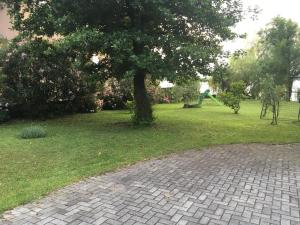 Zahrada ubytování Appartamento Miralago con Giardino sul Lago
