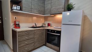 una pequeña cocina con nevera y fregadero en Stylish studio - Your private place in Lamia en Lamía