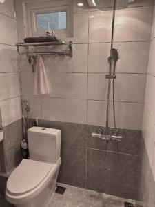 ein kleines Bad mit einem WC und einer Dusche in der Unterkunft Green Homestay in Hanoi