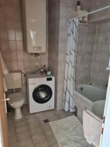 a bathroom with a washing machine and a toilet at Stadtwohnung in Rohrbach in Rohrbach in Oberösterreich