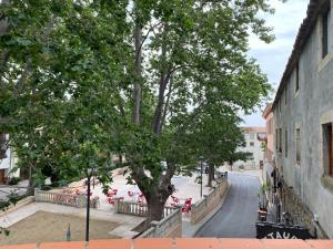 Hotel Rural Cal Amadeu في Vilanova de Escornalbou: شجرة على جانب شارع مجاور لمبنى