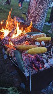 a grill with corn and vegetables next to a fire at Cute little caravan for 2 in old orchard in Hem
