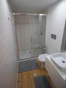 y baño con ducha, aseo y lavamanos. en OPorto Histórico - Galerias en Oporto