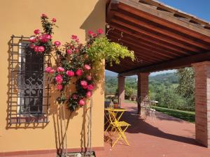 Zahrada ubytování B&B La Casetta + 23 fotografií