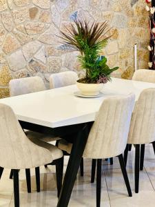 Biały stół z krzesłami i roślina na górze w obiekcie ILLYRIAN hotel w mieście Ksamil