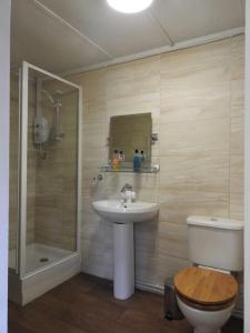 y baño con aseo, lavabo y ducha. en Skylark Shepherds Hut, en Royal Tunbridge Wells