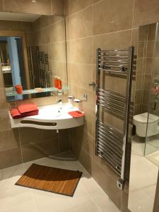 uma casa de banho com um lavatório e um chuveiro em Fréjus Appart'S em Fréjus