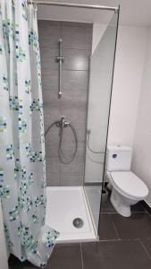 a bathroom with a shower and a toilet at PARIS in Ljubljana