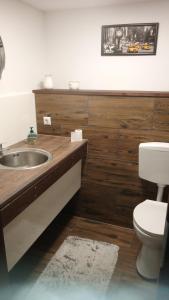łazienka z umywalką i toaletą w obiekcie boddenbackpacker w mieście Bartelshagen