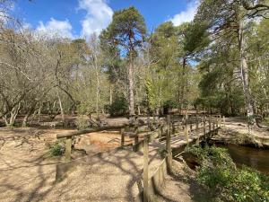 a wooden bridge over a river in a forest at No.51 in Lymington
