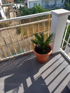 Balkón nebo terasa v ubytování Apartmani Miletić