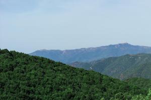 a mountain covered in green trees with mountains in the background at Sa Guardia de Ferricci in Solanas