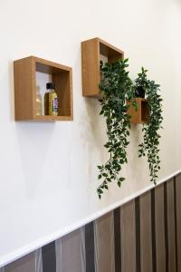 two plants in wooden boxes on a wall at Airport Fly House in Naples