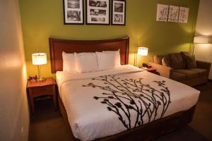 Habitación de hotel con cama y silla en Sleep Inn & Suites en Laurel