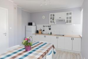 Kuchyň nebo kuchyňský kout v ubytování Apartamenty 4YOU Hel
