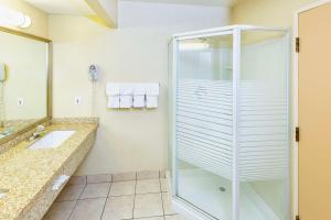 Koupelna v ubytování Comfort Inn & Suites
