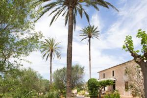 a group of palm trees in front of a building at Agroturismo Es Pla De Llodrá in Manacor