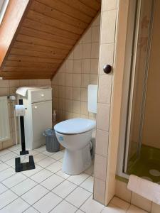 a bathroom with a toilet and a shower at Gisela Hollmann in Groß Wittensee