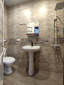 un bagno con lavandino, water e specchio di Ananuri Cottages a Ananuri