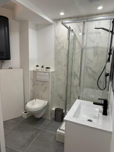 La salle de bains est pourvue d'une douche, de toilettes et d'un lavabo. dans l'établissement Apart Nissa Bella Seafont / Promenade des Anglais, à Nice