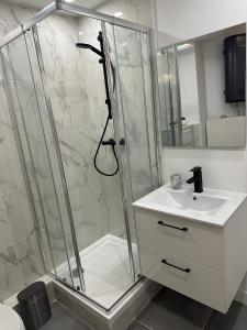 La salle de bains est pourvue d'une douche et d'un lavabo. dans l'établissement Apart Nissa Bella Seafont / Promenade des Anglais, à Nice