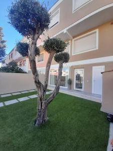 un arbre dans l'herbe devant un bâtiment dans l'établissement Elegante monolocale Elmas Cagliari, à Elmas