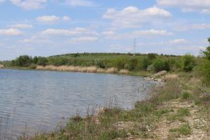 un grande bacino d'acqua con alberi e cespugli di DNK Residence a Simila