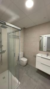 een badkamer met een douche, een toilet en een wastafel bij Txoko Loft Moncayo in Tudela