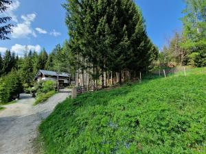 Ogród w obiekcie Alm-Ferienhaus Gaisegg am Klippitztörl