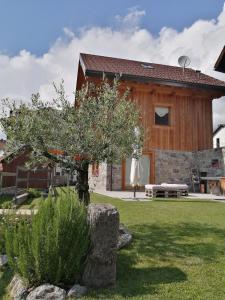a house with a tree in front of it at Chalet Al Cucù in Ovaro