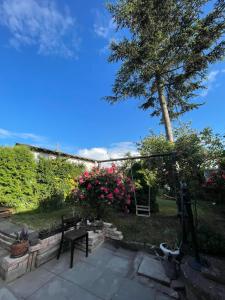 Fotografie z fotogalerie ubytování Apartments Old Town v Brandýse nad Labem - Staré Boleslavi