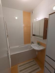 Kúpeľňa v ubytovaní Apartmán Pod Valdickou bránou