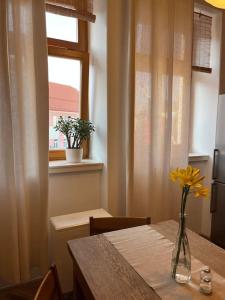 Fotografia z galérie ubytovania Apartmán Pod Valdickou bránou v destinácii Jičín