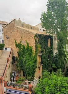 un edificio di mattoni con edera sul lato di Los Caños de La Casa Viva a Vélez Blanco