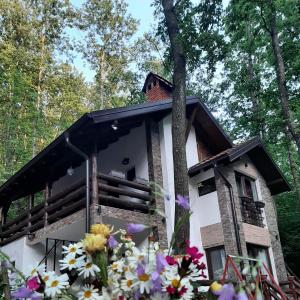 Vila KTM Lisine في ديسبوتوفاتس: منزل صغير وامامه زهور