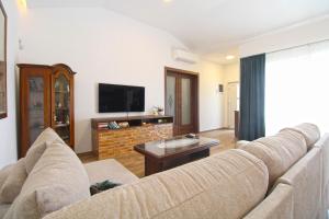 salon z kanapą i telewizorem w obiekcie Villa Olgica 2269 w Puli