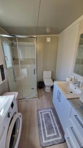 a bathroom with a shower and a toilet and a sink at Mobile Home PLAGE in Drage