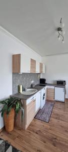 a kitchen with a sink and a washing machine at City Center apartman in Siófok