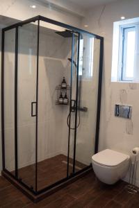 a bathroom with a shower and a toilet at Naiads Nest - The Comfort Lux in Varkiza