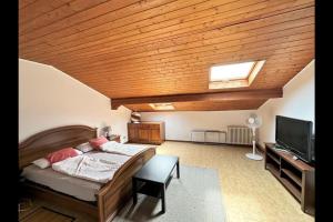 um quarto grande com uma cama e uma televisão em Katty House - Dizzasco Lake Como em Muronico