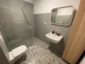 a bathroom with a toilet and a sink and a mirror at Apartments TITO & ROBIN in Koper