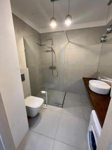 a bathroom with a toilet and a sink and a shower at Przytulna Apartment close to the airport and PKM in Gdańsk