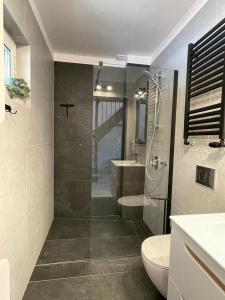 a bathroom with a shower and a toilet and a sink at Apartamenty przy Parku -150m od plaży in Darłówko