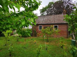 a garden in front of a brick house at Trekkershut - Tiny House - Hikers cottage in Wijster
