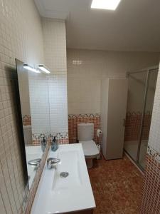 een badkamer met een wastafel, een toilet en een spiegel bij Acogedor apartamento en Vigo in Vigo